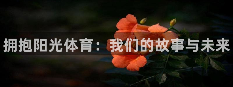 3377体育官网下载是干嘛的公司：拥抱阳光体育：我们
