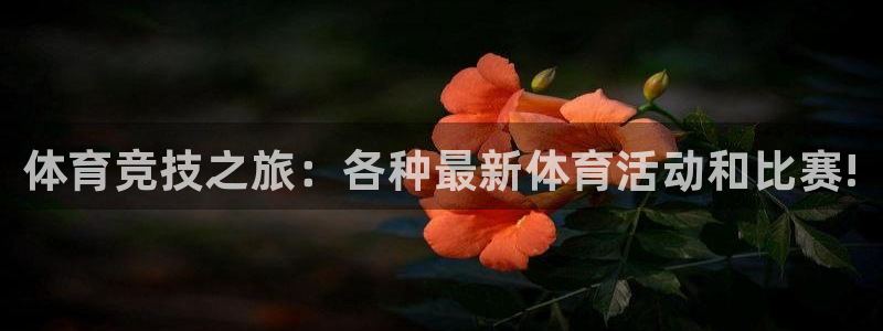 3377体育官网下载是干嘛的公司：体育竞技之旅：各种