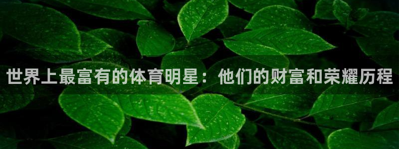 3377体育官网下载平台是正规平台吗安全吗：世界上最