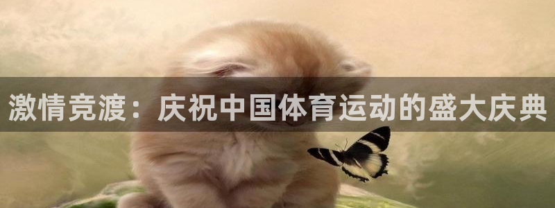 3377体育官网下载是干嘛的公司：激情竞渡：庆祝中国
