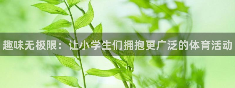 海南3377体育官网下载：趣味无极限：让小学生们拥抱