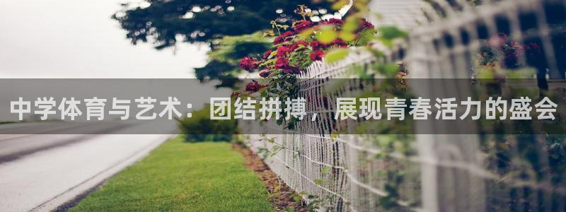 3377体育官网下载招商电话号码查询：中学体育与艺术