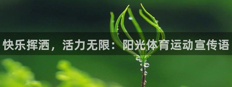 3377体育官网下载招商电话地址查询：快乐挥洒，活力无限：阳
