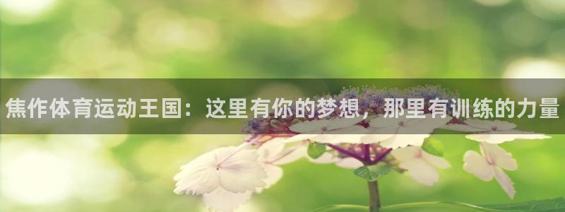 3377体育官网下载平台假的吗是真的吗：焦作体育运动