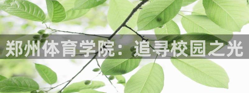 3377体育官网下载招商电话地址：郑州体育学院：追寻校园之光