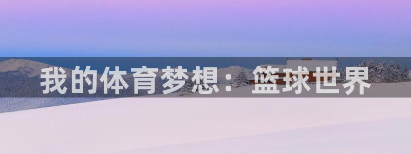 3377体育官方正版app娱乐40996：我的体育梦想：篮球