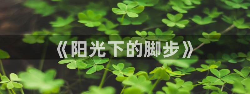 3377体育官方正版app娱乐首页官网下载：《阳光下