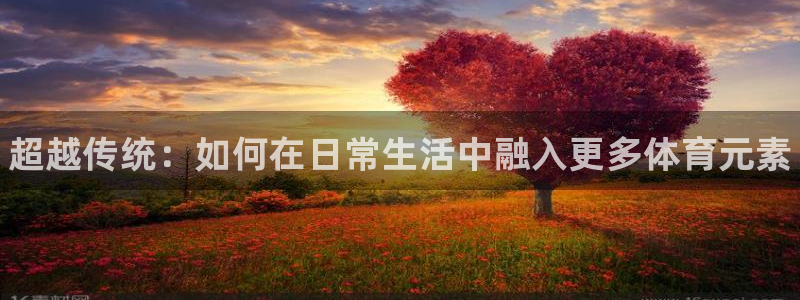3377体育官网下载招商电话地址查询：超越传统：如何在日常生