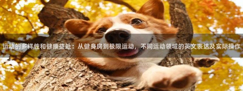 3377体育官方正版app娱乐代理怎么样：运动的多样性和健康