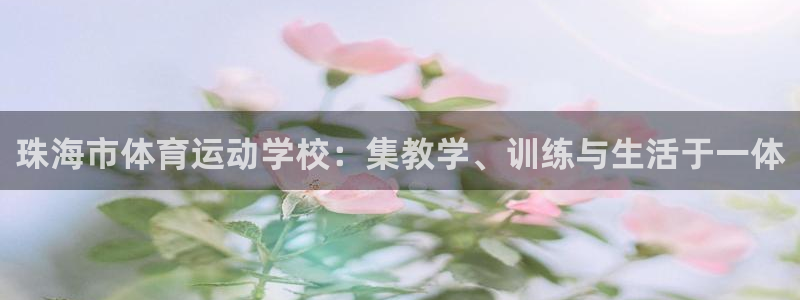 3377体育官方正版app集团官网首页网址：珠海市体