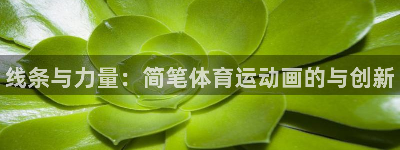 3377体育官网下载招商电话号码查询：线条与力量：简