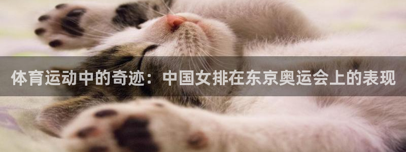 3377体育官方正版app开户：体育运动中的奇迹：中