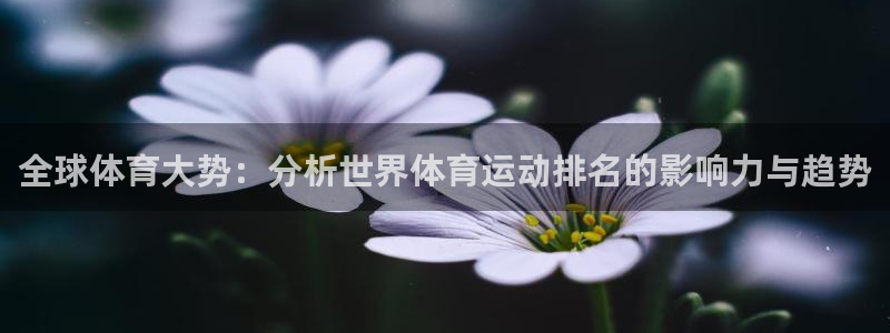 3377体育官方正版app科技：全球体育大势：分析世界体育运
