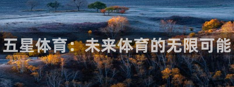 3377体育官网下载平台是正规平台吗知乎：五星体育：