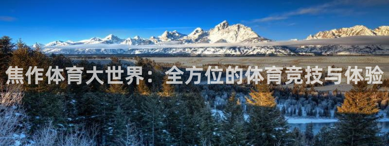 3377体育官网下载招商电话是多少号码：焦作体育大世