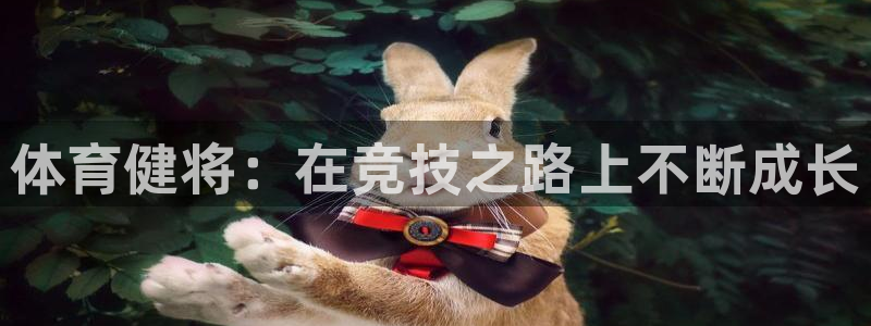 3377体育官网下载平台注册流程图：体育健将：在竞技