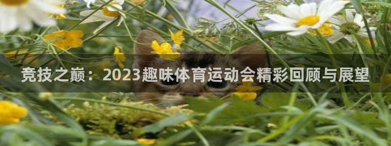 3377体育官网下载招商：竞技之巅：2023趣味体育
