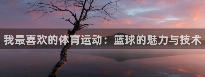 3377体育官方正版app娱乐40996：我最喜欢的