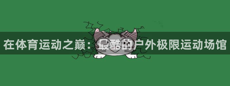 3377体育官网下载平台APP：在体育运动之巅：最酷