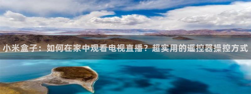 蓝鲸体育直播在线观看网球