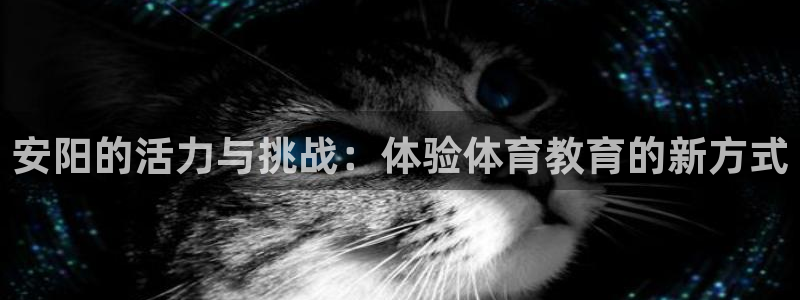 3377体育app倒闭了吗知乎
