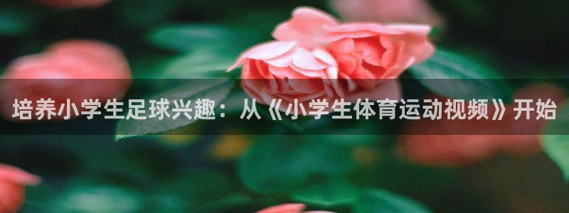 3377体育出款正常不