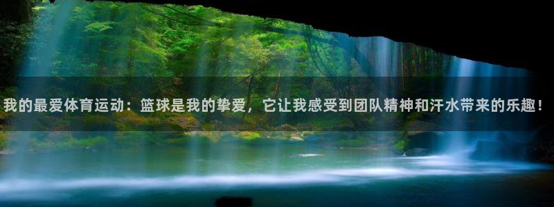 3377体育是干嘛的：我的最爱体育运