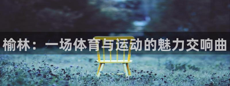 3377体育是正规平台吗：榆林：一场