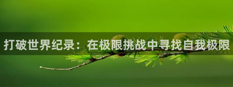3377体育有风险吗：打破世界纪录：在极限挑战中寻找自我极限