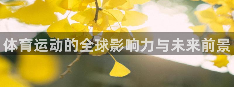 3377体育能爆吗：体育运动的全球影响力与未来前景