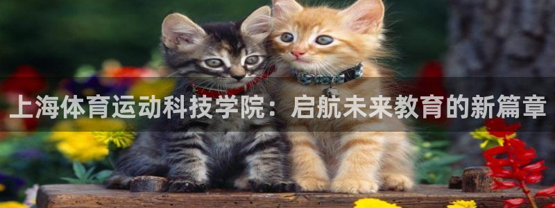  3377体育电子：上海体育运动科技学院：启航未来教育的新篇章
