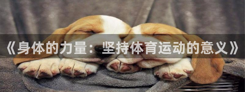 3377体育中国官方网站入口：《身体的力量：坚持体育运动的意