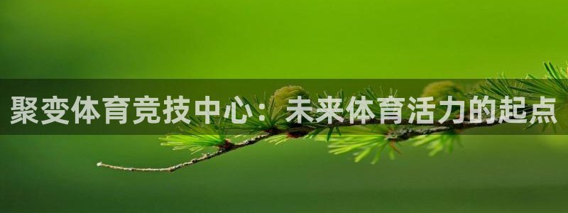  3377体育是什么：聚变体育竞技中心：未来体育活力的起点