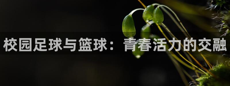 3377体育为什么提不出来：校园足球与篮球：青春活力的交融