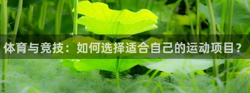  3377体育犯法吗：体育与竞技：如何选择适合自己的运动项目？