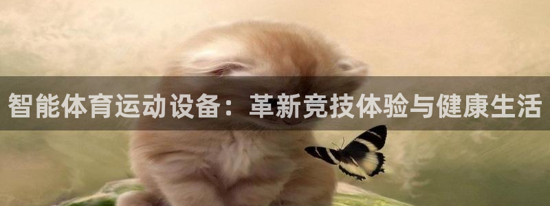  3377体育app倒闭了吗知乎：智能体育运动设备：革新竞技体