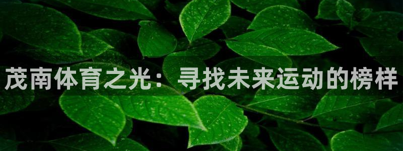  3377体育在线官网：茂南体育之光：寻找未来运动的榜样