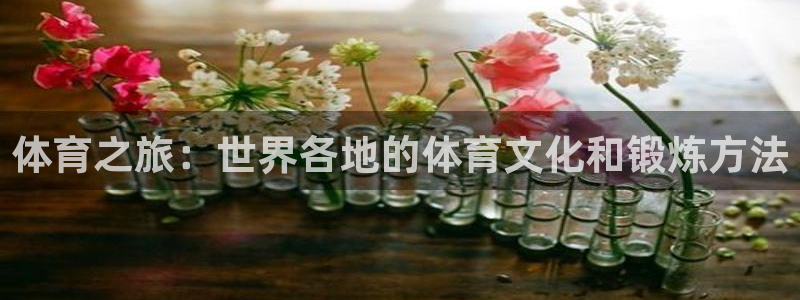 3377体育十大必吃榜：体育之旅：世界各地的体育文化和锻炼方