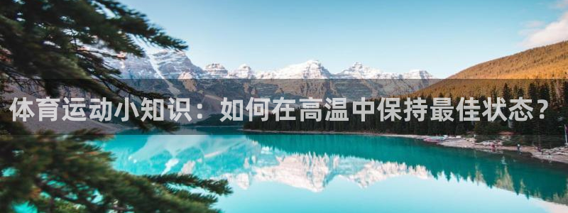 3377体育app属不属于病毒应用：