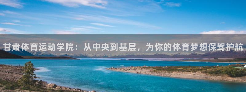 3377体育骗了多少人