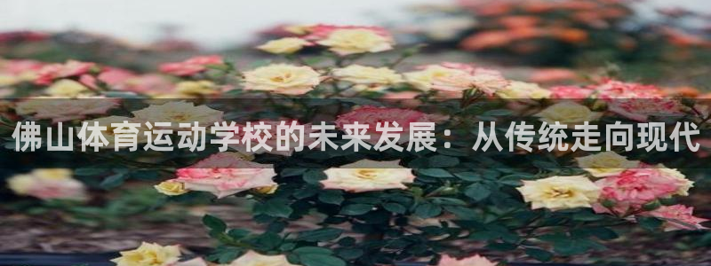 3377体育是正规平台吗还是黑金：佛