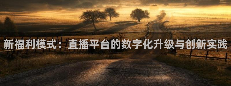 蓝鲸体育足球免费观看：新福利模式：直播平台的数字化升级与创新实践